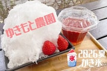 いちご農園ならでは！「ゆきもと農園」でもぎたていちごのかき氷を味わってきました！（愛媛/西条市・おでかけレポ）