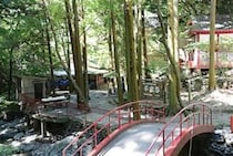 【平家谷そうめん流し】自然と歴史に癒やされるひととき（愛媛/八幡浜市）