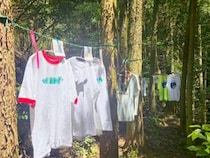 森の中でTシャツ展示！？ 東温市の「森のTシャツ展」が素敵すぎた（愛媛/東温市・おでかけレポ）
