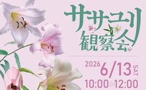 【ササユリ観察会】久万高原町ふるさと旅行村で絶滅危惧種を観察（愛媛/久万高原町）
