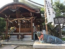 【井手神社 天神祭り】夏本番の始まりを告げる！ 松山の伝統行事で賑わう心温まる二日間（愛媛/松山市）