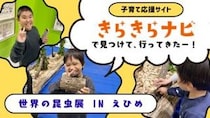 きらきらナビで見つけた！世界の昆虫にワクワク「世界の昆虫展 IN えひめ」（愛媛/松山市・おでかけレポ）