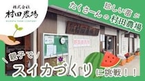 【村田農場売店】種類豊富な苗が魅力！初心者でも安心して始められる野菜づくり（愛媛/松山市・おでかけレポ）