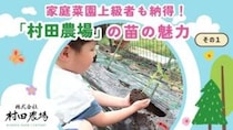 【村田農場売店】90歳代でも20個収穫！？初心者に人気の小玉スイカ「媛小紅」と1株で3種の実がなるトマト苗がすごかった（愛媛/松山市・おでかけレポ）