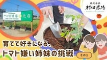 【村田農場売店】初心者でも安心！相談しながら選べる夏野菜の苗（愛媛/松山市・おでかけレポ）
