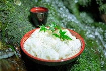 【薬師谷渓谷そうめん流し】清流と緑に包まれて味わう夏の贅沢イベント（愛媛/宇和島市）