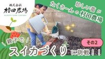 【村田農場売店】種類豊富な苗が魅力！初心者でも安心して始められる野菜づくり（愛媛/松山市・おでかけレポ）