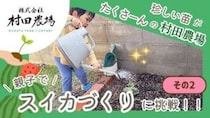 【村田農場売店】種類豊富な苗が魅力！初心者でも安心して始められる野菜づくり（愛媛/松山市・おでかけレポ）