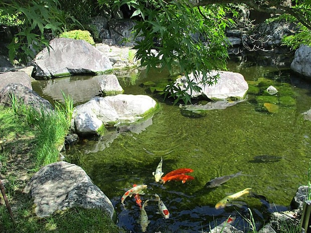夏休み企画「城山公園写真展」