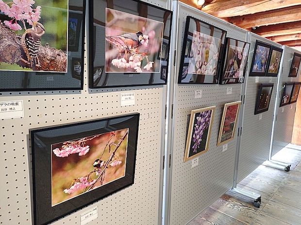 夏休み企画「城山公園写真展」