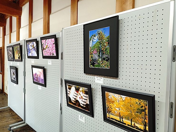 夏休み企画「城山公園写真展」