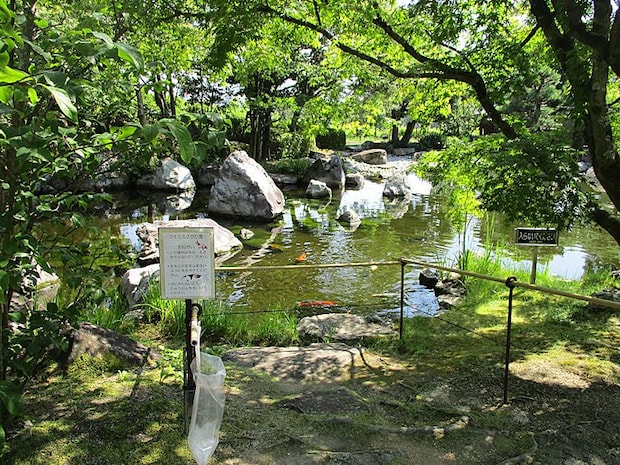 夏休み企画「城山公園写真展」
