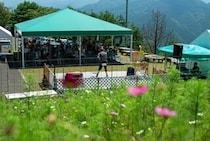 【翠波高原コスモスまつり】 広々とした高原で楽しさあふれるひとときを満喫しよう 【愛媛/四国中央市】