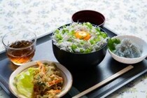 【しらす漁体験&しらす丼食べ放題【昼食付き】2026】獲れたての感動を、そのまま頬ばろう（佐田岬体験博 愛媛/伊方町）