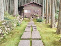 【こけむしろ】夏のドライブに！ 緑に囲まれた癒しの空間で非日常時間（愛媛/西予市・おでかけレポ）