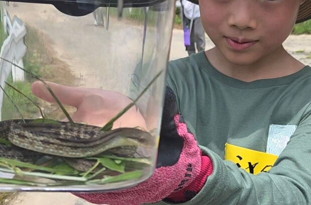 【爬虫類探し 第2弾】 久万高原町で生きもの探しの冒険を満喫しよう 【愛媛/久万高原町】