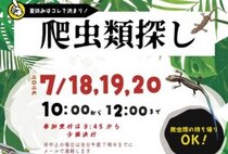 【爬虫類探し】ふるさと旅行村で発見と学びがあふれる本物体験（愛媛/久万高原町）