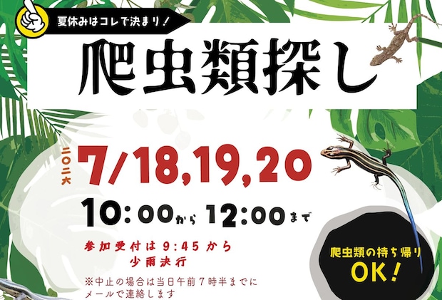【爬虫類探し】 ふるさと旅行村で発見と学びがあふれる本物体験【愛媛/久万高原町】