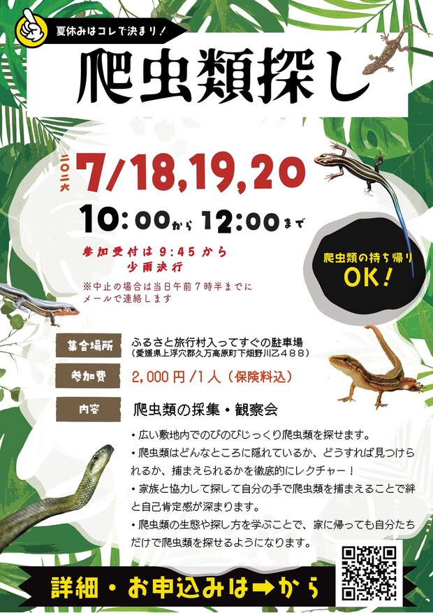 【爬虫類探し】 ふるさと旅行村で発見と学びがあふれる本物体験【愛媛/久万高原町】