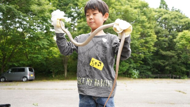 【爬虫類探し】 ふるさと旅行村で発見と学びがあふれる本物体験【愛媛/久万高原町】