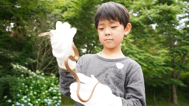 【爬虫類探し】 ふるさと旅行村で発見と学びがあふれる本物体験【愛媛/久万高原町】