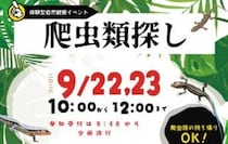 【爬虫類探し 第2弾】久万高原町で生きもの探しの冒険を満喫しよう（愛媛/久万高原町）