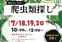 【爬虫類探し】ふるさと旅行村で発見と学びがあふれる本物体験（愛媛/久万高原町）