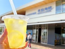 【来島海峡サービスエリア】意外と知らないしまなみ海道の裏ワザ！SAへ下道から遊びに行ってみた（愛媛/今治市・おでかけレポ）