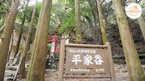 【平家谷自然公園】親子で夏体験の経験値アップ！（愛媛/八幡浜市・にこひめプロジェクト）