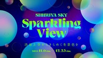 渋谷スクランブルスクエア「SHIBUYA SKY」、光と音の幻想空間を楽しめる冬の特別イベント「Sparkling View」11月6日より開催！