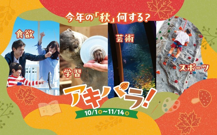 横浜・八景島シーパラダイス、秋・ハロウィンテーマのイベント「アキパラ!」10月1日より開催!