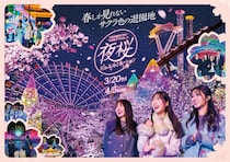 よみうりランド、桜のライトアップと宝石色のイルミが輝く「夜桜ジュエルミネーション」3月20日より開催！