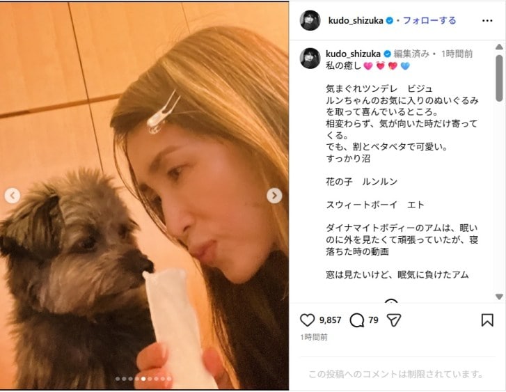 工藤静香、「私の癒し」愛犬たちの最新ショット公開!「幸せな世界」「カワイイがいっぱい」