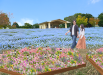 足立区・舎人公園、ネモフィラブルーと幻想的な光の演出が楽しめる「花と光のムーブメント 舎人公園～ネモフィラと百花の花景色～」4月10日より開催！