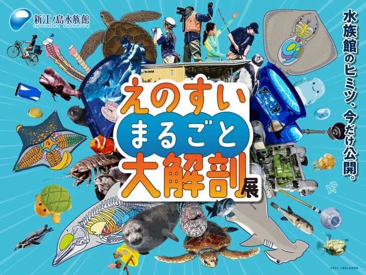 新江ノ島水族館、「えのすいまるごと大解剖展」7月3日より開催！スタンプラリー開催や限定グッズも登場