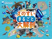 新江ノ島水族館、「えのすいまるごと大解剖展」7月3日より開催！スタンプラリー開催や限定グッズも登場