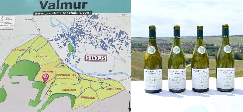 画像: ウィリアム・フェーヴルのヴァルミュールの畑の一画に新たに作られた休憩地で、新しい醸造所の建設計画が発表された