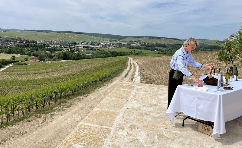 画像: ヴァルミュールの畑の一画に作られたテラス。ドメーヌ・ウイリアム・フェーヴルは、1950年代後半からウィリアム・フェーヴル氏本人が先見の明を持ってを買い集めた最高の区画の畑を引き継いでいる