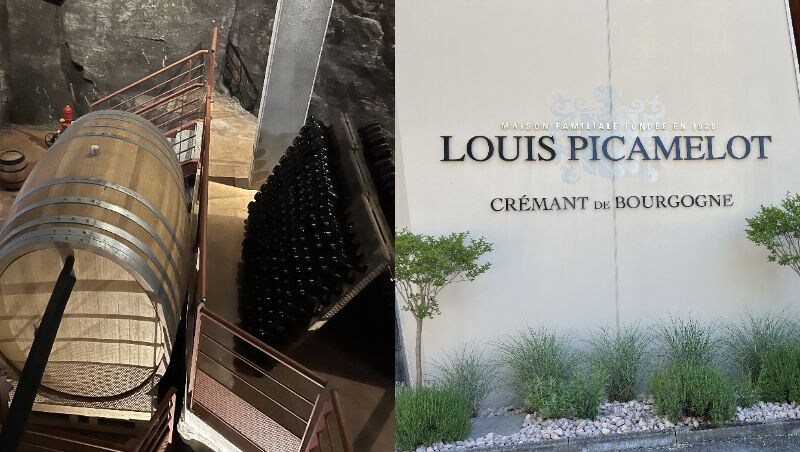 画像: 使用品種と栽培方法