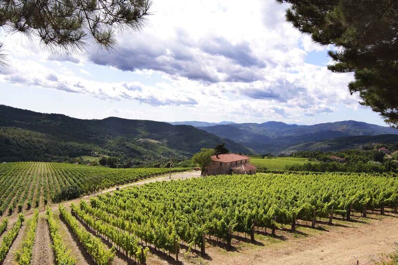 画像: 「フレスコバルディ」が所有している「カステッロ・ポミーノ」。標高400〜750メートルに108ヘクタールの畑が広がる