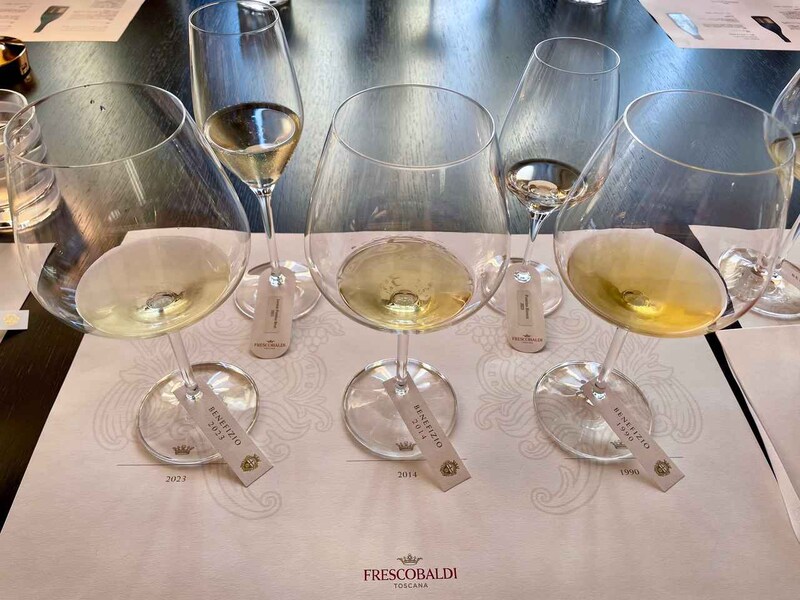 画像: 手前左から2023年、2014年、1990年ヴィンテージ。奥は垂直試飲に先立って供された『ポミーノ・ベネフィッツィオ“レオーニア” 2021年』（左）、『ポミーノ・ビアンコ 2023年』