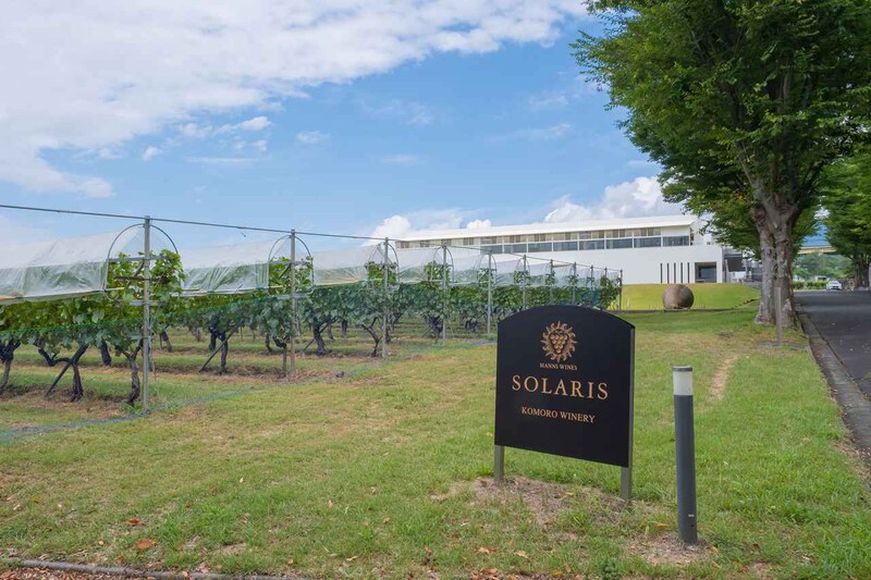 画像3: 「歴史をつないでいく、先人から次の世代へ」マンズワイン小諸ワイナリー