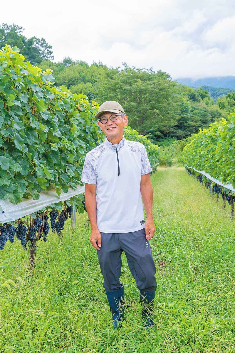 第2 の人生で花開いたワイン造り「いざわの畑」(長野県)
