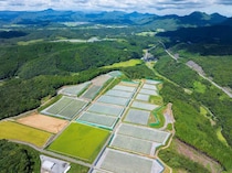 土を作り、ブドウに向き合い―畑の進化がワインに実を結ぶ「安心院葡萄酒工房（あじむぶどうしゅこうぼう）」（大分県）