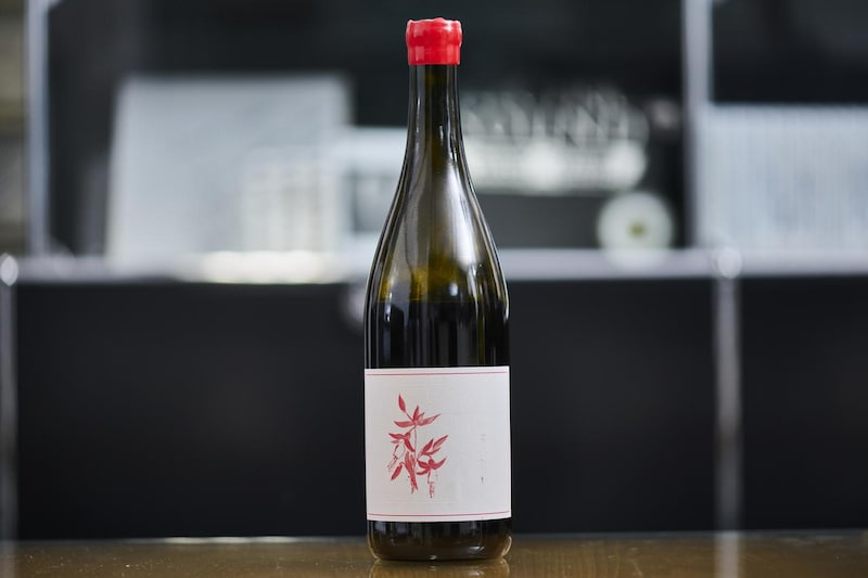 画像40: 「ガメイに恋して!」
ソムリエと料理研究家がとことん語る、ガメイの魅力大解剖!