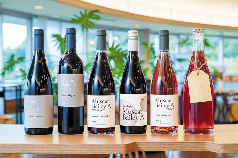 画像: 左から『マスカットベリーA 樽熟成 キュヴェ・イケガワ 2021年』(3850円)、『マスカットベリーA アンウッデッド キュヴェ・イケガワ 2023年』(2860円)、『マスカットベリーA アンウッデッド honobe vineyard 2024年』(2200円)、『マスカットベリーA 樽熟成 2019年』(1980円)、『マスカットベリーA クレーレ i-vines vineyard 2024年』(1980円)、『マスカットベリーA ロゼ にごりスパークリング 2024年』(2200円) ※価格はすべて税込