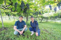 地元農家とともに創り上げる高品質ワイン「朝日町ワイン」（山形県）