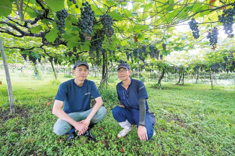 地元農家とともに創り上げる高品質ワイン「朝日町ワイン」(山形県)