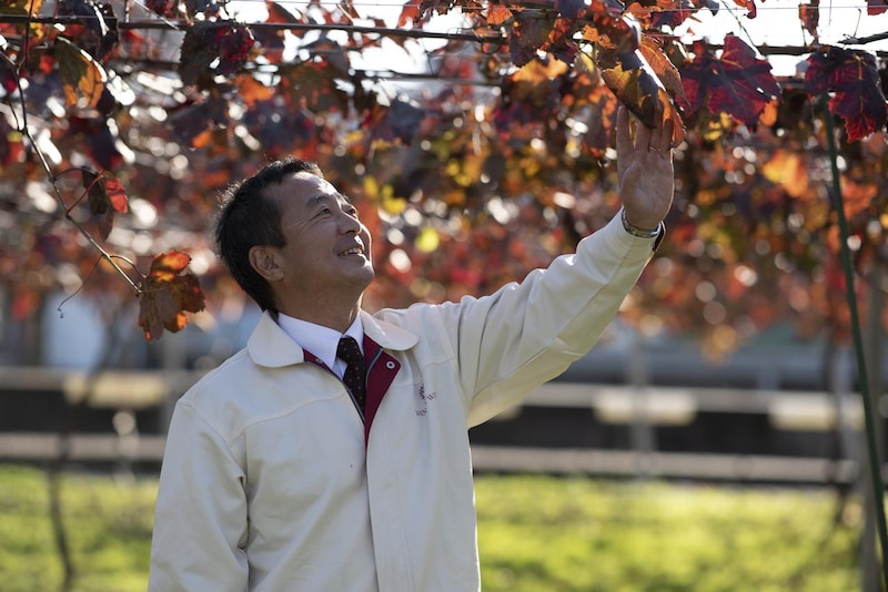 画像: マンズワイン株式会社 代表取締役社長 島崎 大 氏