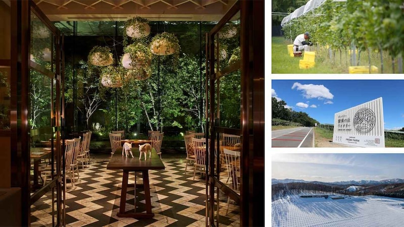 パレスホテル東京 日本の銘醸ワインを味わう「Japanese Wine Journey」 開催